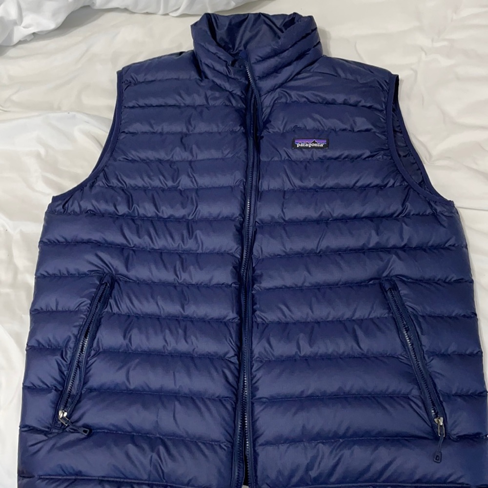Patagonia Mens blue vest